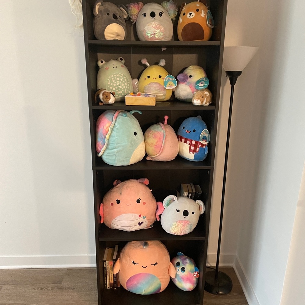 Squishmallows Some have Tags & Some don’t!